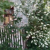 *** :: Валентина Береснева