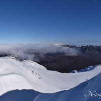 Природа Крыма :: Amazing Cosmea