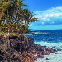 Гавайи :: Aleksey Afonin Гавайи :: Aleksey Afonin