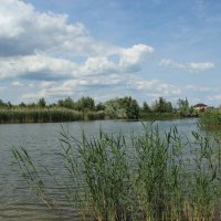 У Дона. :: Виктор У Дона. :: Виктор