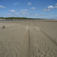 На протоке :: Anna Ivanova