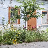 Хата & цветы :: Коля Лукашов Хата & цветы :: Коля Лукашов