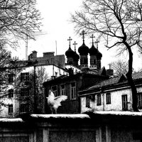 Утро нашего городка :: Владимир Шишкин