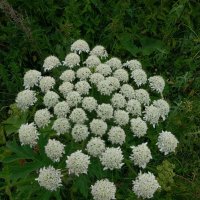 Talgar. :: Murat Bukaev 