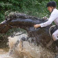 жара :: игорь 