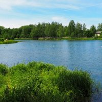 Смоленщина в июне (репортаж из поездок по области). :: Милешкин Владимир Алексеевич Смоленщина в июне (репортаж из поездок по области). :: Милешкин Владимир Алексеевич