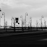 Колокольчики, или что выросло - то выросло. :: Игорь Викторов