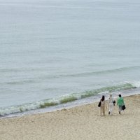 Куршская коса :: Олег Денисов