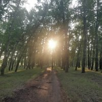 Вечернее Солнце :: Андрей Хлопонин