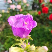 ,,, :: Сергей Тимоновский