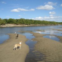 Лето :: Anna Ivanova Лето :: Anna Ivanova