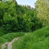 Голосов овраг :: Леонид Иванчук Голосов овраг :: Леонид Иванчук