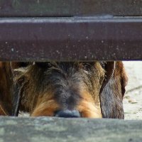 Взаперти :: Леонид leo Взаперти :: Леонид leo