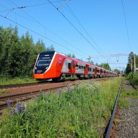 "Финист" - ясный сокол ☺ :: Лия ☼