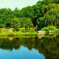 Прогулки по Японскому саду :: Aida10 