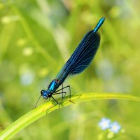 из снятого сегодня 4 :: Александр Прокудин