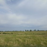 Летним днём. :: Pippa 