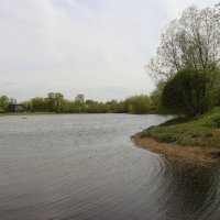 Стрельна. Орловский пруд :: Наталья Герасимова