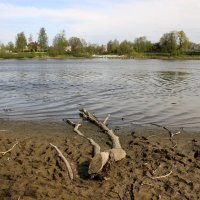 Стрельна. Орловский пруд :: Наталья Герасимова