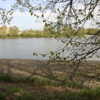 Стрельна. Орловский пруд :: Наталья Герасимова