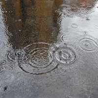 Дождливый день :: Валерий Иванович