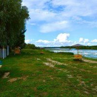 Ядрин. Городской пляж летом. :: Пётр Чернега Ядрин. Городской пляж летом. :: Пётр Чернега