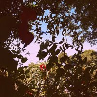 Барселона. :: Владимир Драгунский