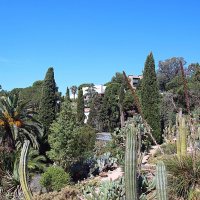 Барселона. :: Владимир Драгунский