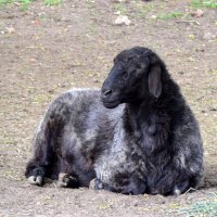 Московская область. Николо-Угрешский монастырь. :: Наташа ***** Московская область. Николо-Угрешский монастырь. :: Наташа *****