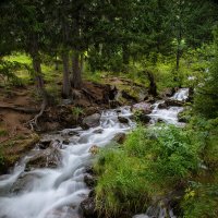 Лесной ручей Боки :: Вениамин Скородумов