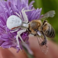 Этот жестокий мир 2 :: Сергей 