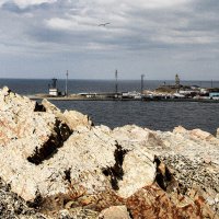 Чёрное море.Большой Утриш. :: Алексей Пышненко