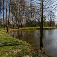 *** :: Николай Гирш