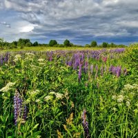 ****** :: Наталья Лакомова
