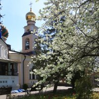 .. :: Ninell Nikitina