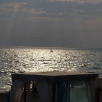 *** :: Александр Николаев