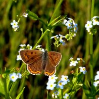из снятого вчера 4 :: Александр Прокудин