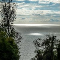 Вечерние блики :: Наталья Rosenwasser