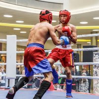 Кикбоксинг :: SanSan 