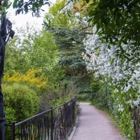 Весна в ботаническом саду :: Валентин Семчишин