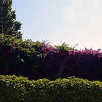 Барселона. :: Владимир Драгунский