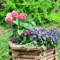 Московская область. Николо-Угрешский монастырь. :: Наташа *****