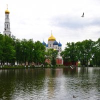 Московская область. Николо-Угрешский монастырь. :: Наташа *****