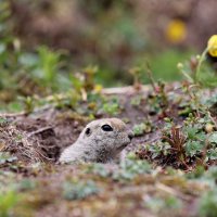 Фото в интерьере... :: Александр Кондаков