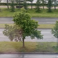 Летом :: Митя Дмитрий Митя