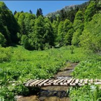 Заповедник. Северный Кавказ :: Tata Wolf Заповедник. Северный Кавказ :: Tata Wolf