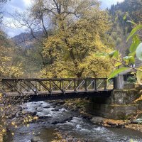 Мостик :: Марина Виноградова