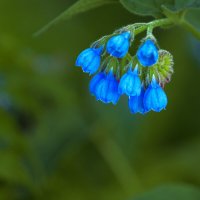 ... :: Жора Житников