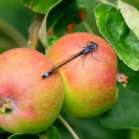 из снятого сегодня 5 :: Александр Прокудин