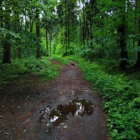 Не самая солнечная часть июня :: Андрей Лукьянов Не самая солнечная часть июня :: Андрей Лукьянов